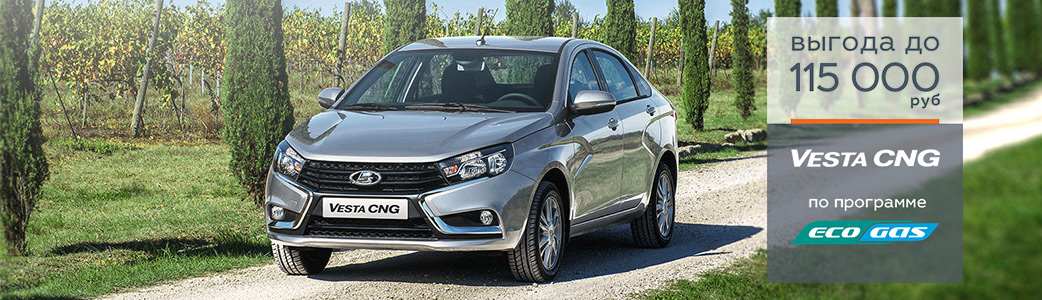 Программа ''EcoGas''